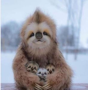 Meet your Posher, Cheryl